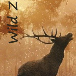 Motiv 1 - Wild Flyer